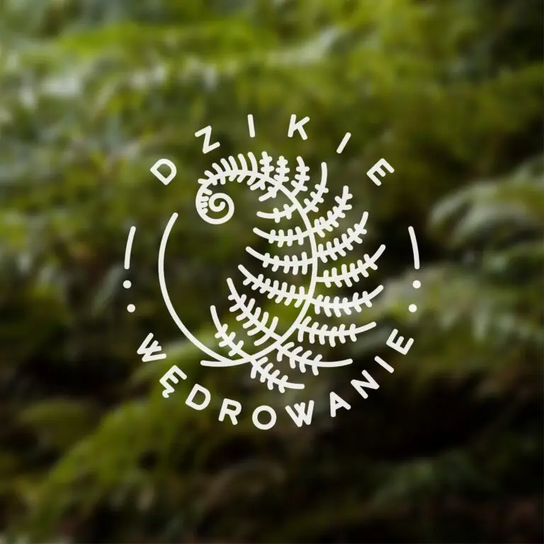 logo_pelne_dzikie_tło